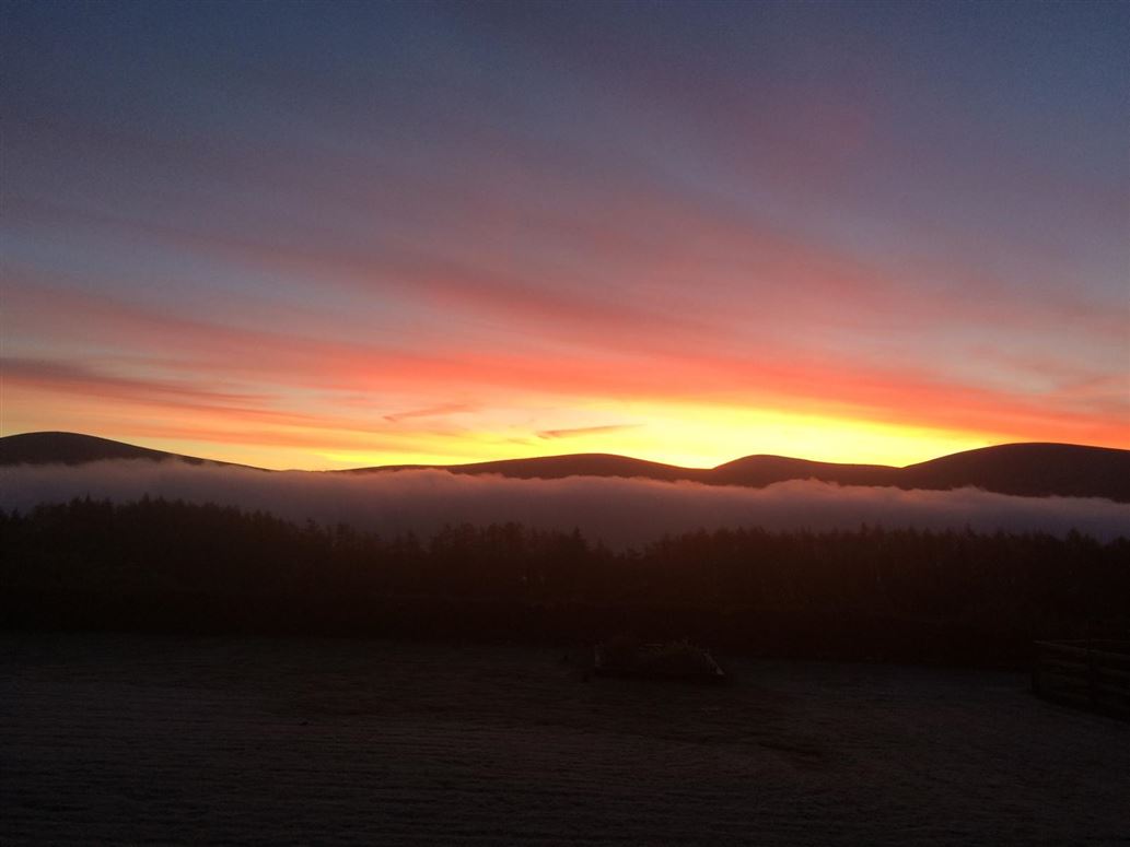 'Ash Grove', Baltyboys, Blessington, Wicklow
