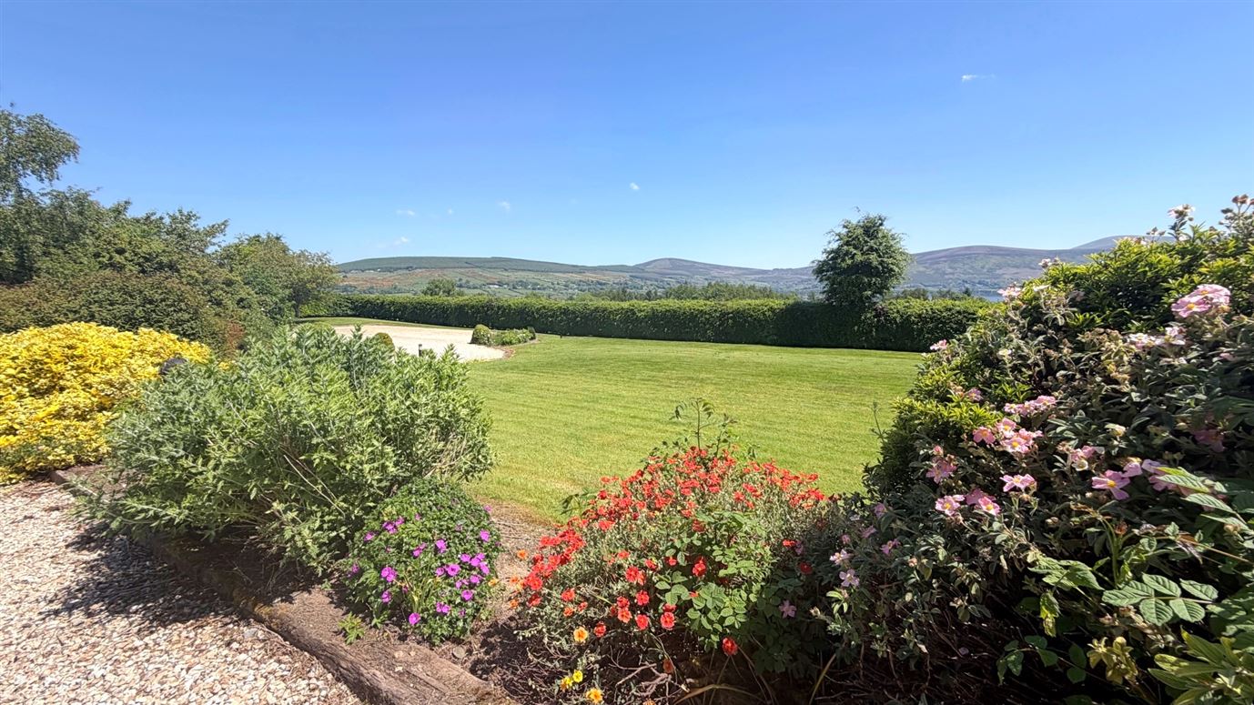 'Ash Grove', Baltyboys, Blessington, Wicklow