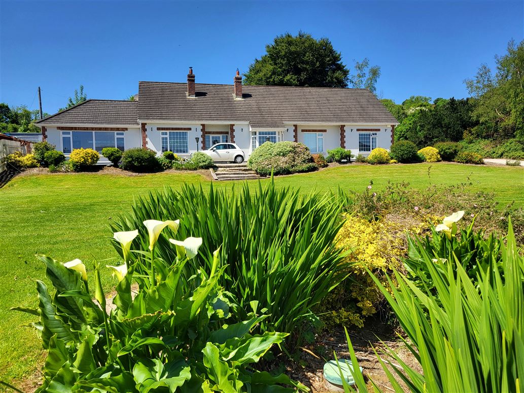 'Ash Grove', Baltyboys, Blessington, Wicklow