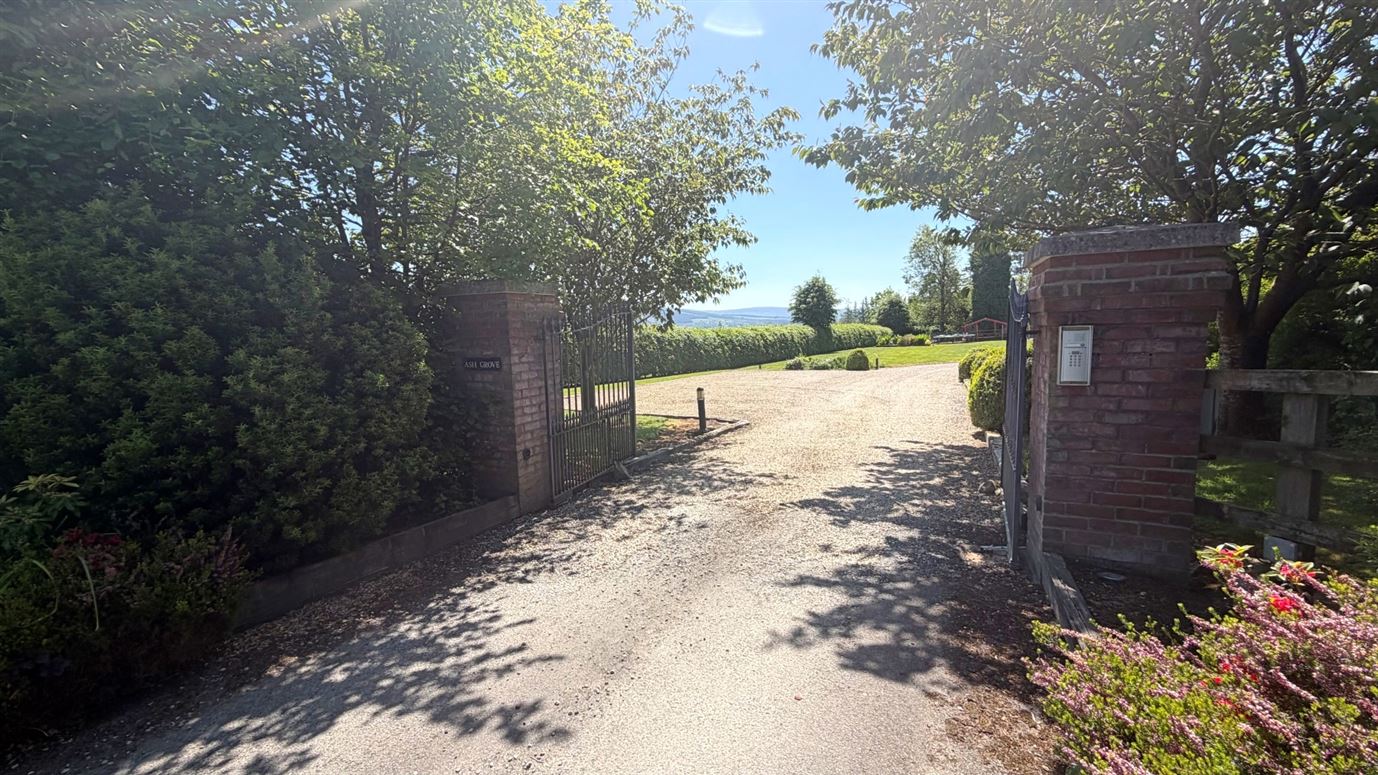 'Ash Grove', Baltyboys, Blessington, Wicklow